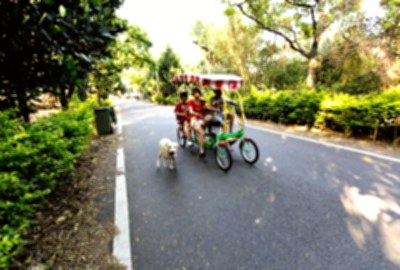 新屋綠色走廊