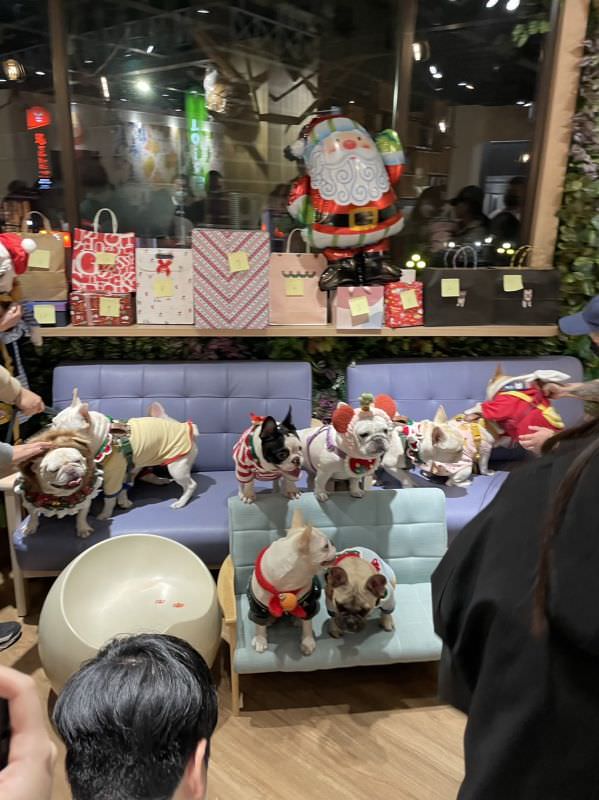 森林小徑精誠店對寵物超友善